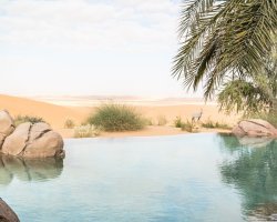 Complimentary two selective desert activities, 20% off on Spa & 10% off on other activities